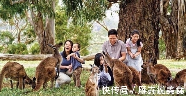 富养女|“穷养儿,富养女”,很多家庭弄错了,真相是这样的