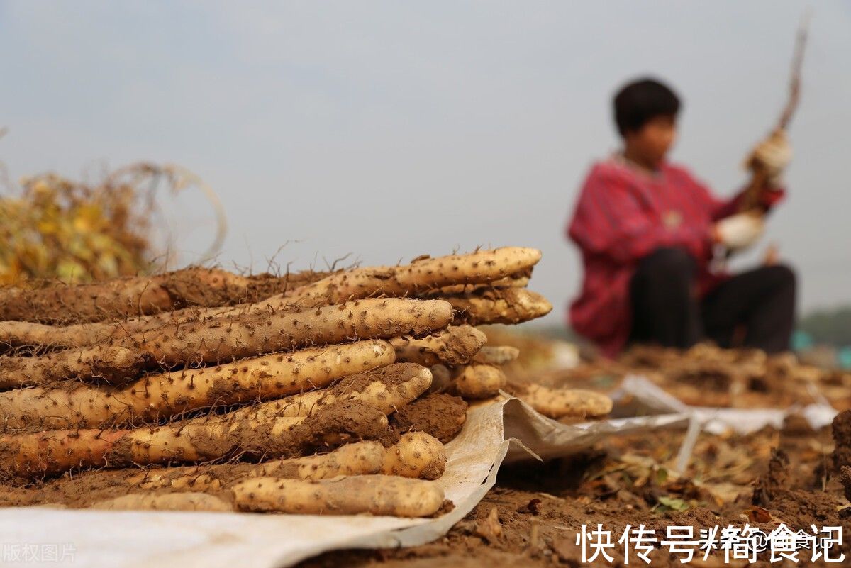菜农|带泥的山药和洗净的山药，该选哪种？菜农：差别很大，别再买错了