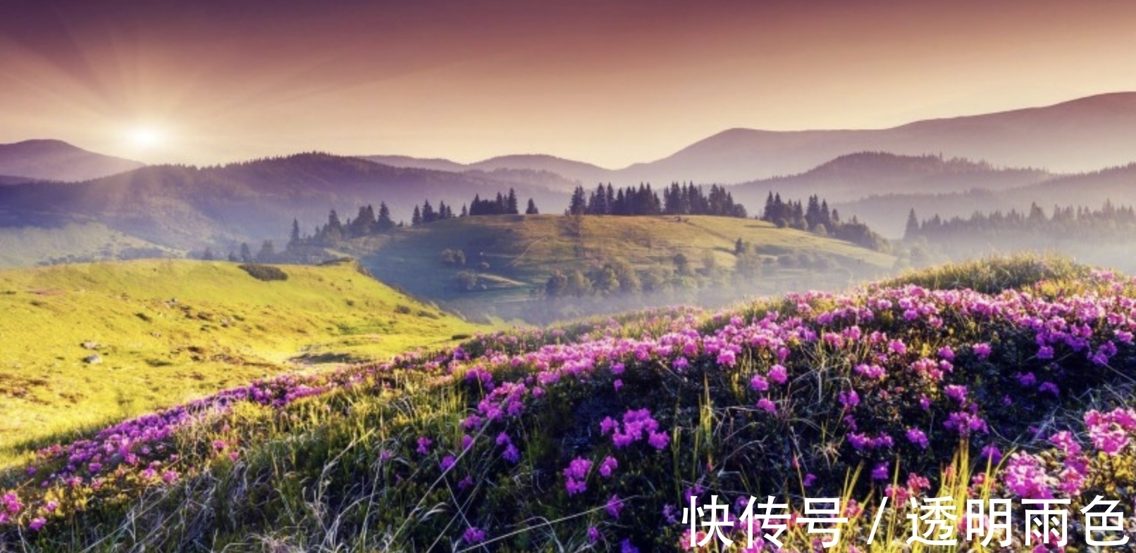 摩羯座|客观理智,城府很深的星座,深藏不露,关键时刻才出手,神秘莫测