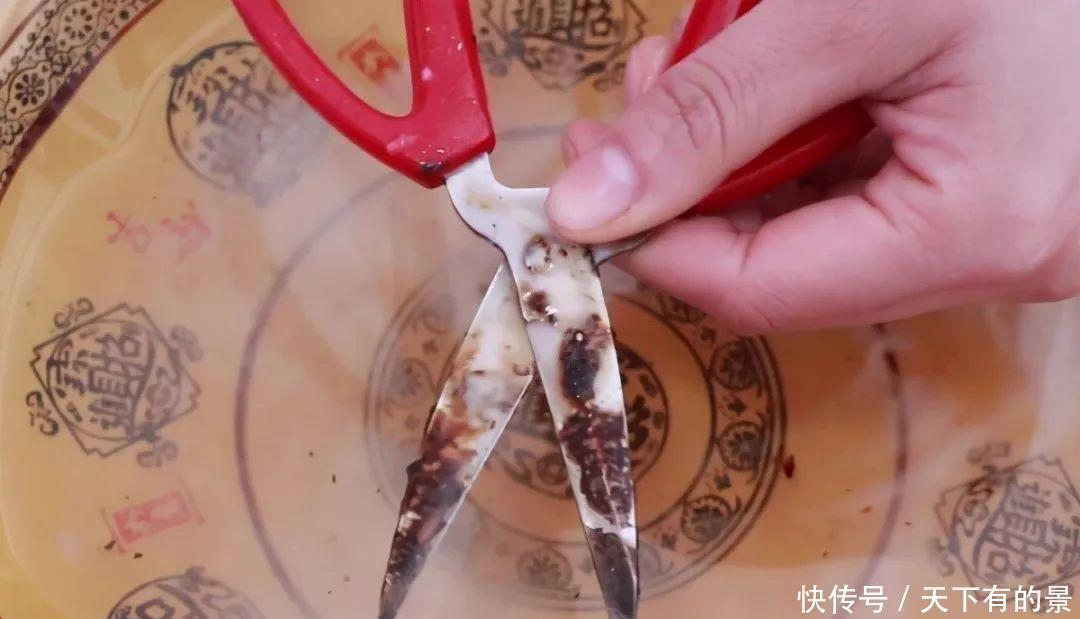 剪刀不管多钝都不要扔,教你一招,剪刀立马锋利如新,简单又实用