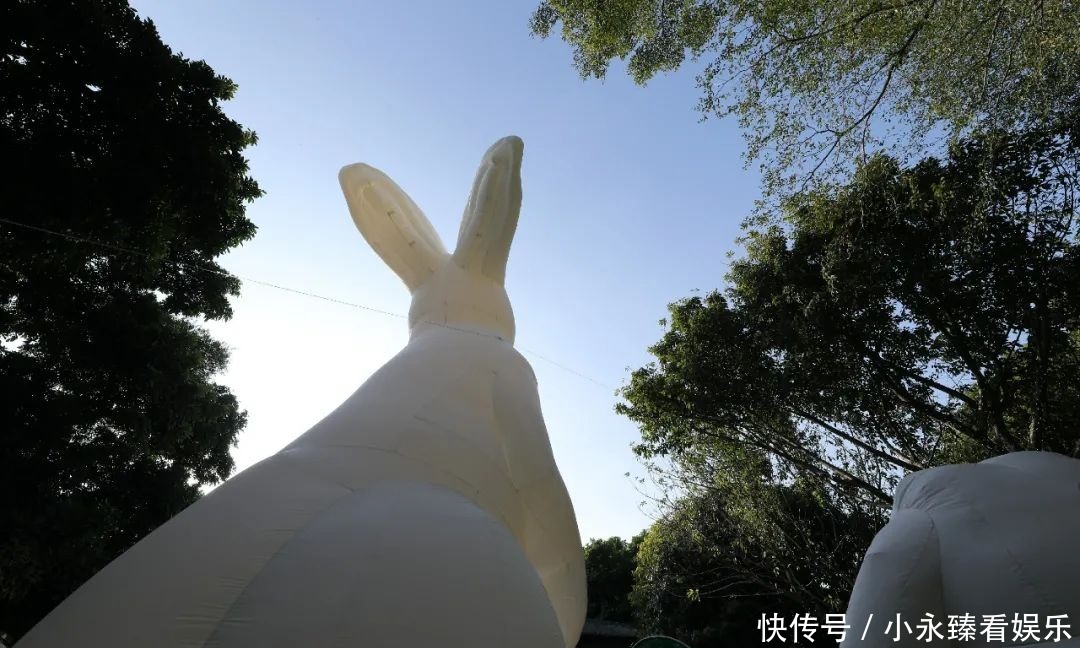 可爱|超萌超可爱!11米光影巨兔首次亮相禅城