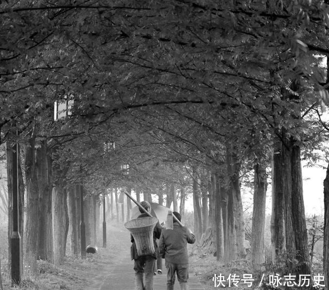 马蹄|「昭化大蜀道连载」第2集英雄金戈响马蹄,文人骚客留诗篇