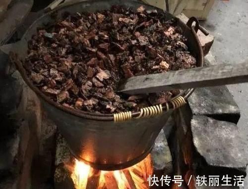 养花烂根不是大问题!土里埋点它,根须刷刷长满盆,越来越壮实