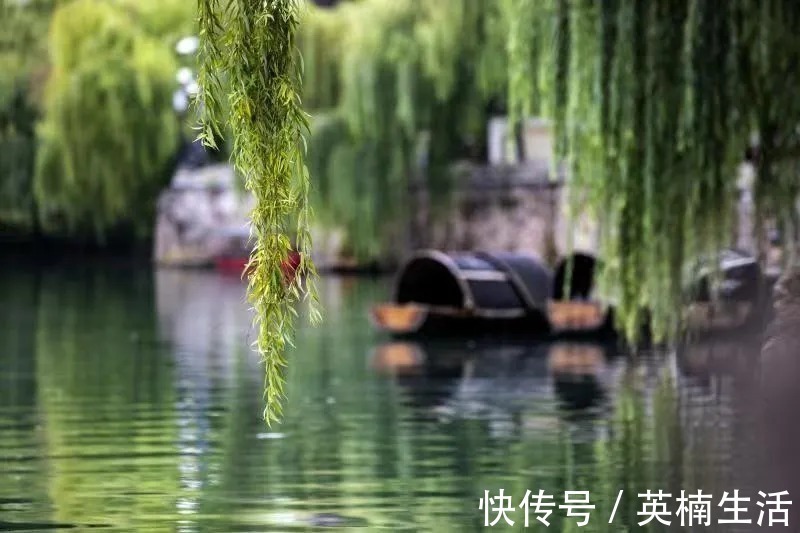 西洲|诗词鉴赏丨中国最美的十大名诗,一生至少要读一次