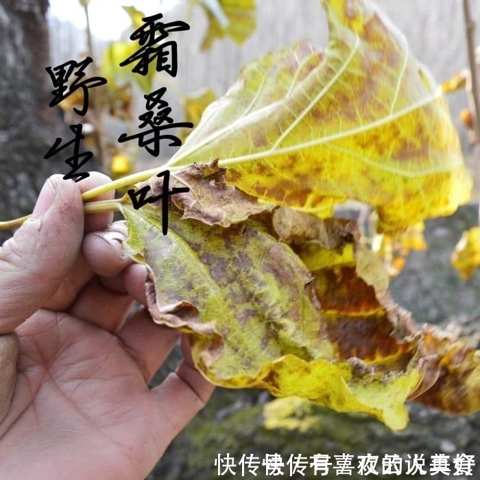降血糖|4种茶是天然“胰岛素”,糖尿病人常喝点,降血糖,远离并发症