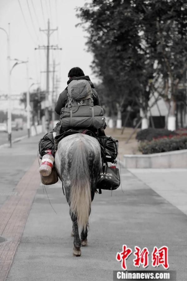 马儿|跟骑马八千里从新疆还乡的小伙儿聊了聊