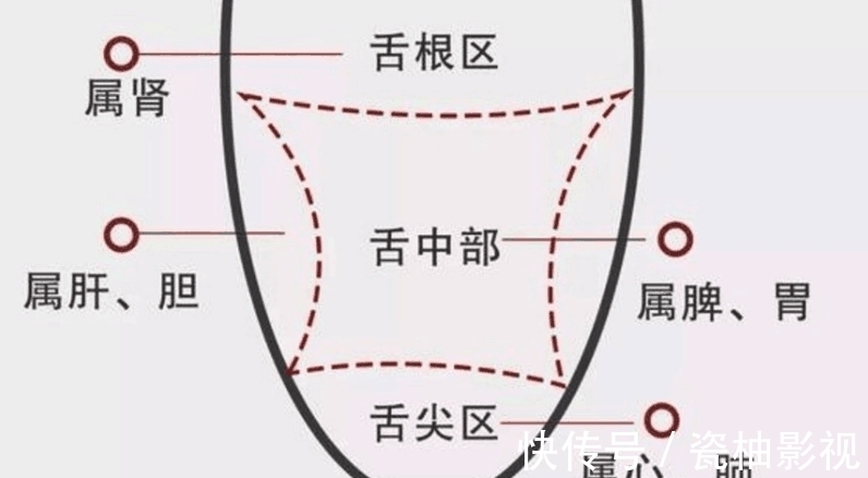 看病|为什么中医看病都要看舌头？教你认识舌苔