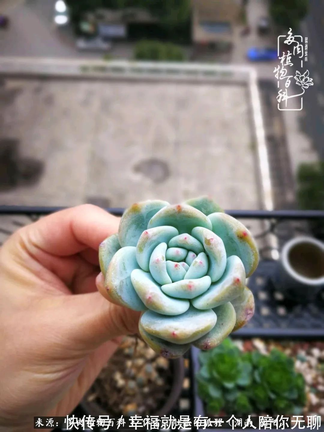 爱这一片缤纷的色彩,因为我们都是好色之徒!