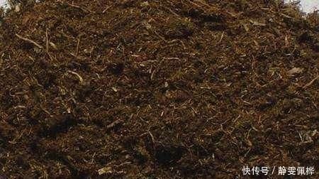 压箱底的养花绝活,种花用这三种“黄金土”,不爆盆来找我