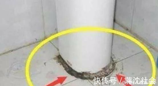 玻璃胶|玻璃胶总是“发黑长霉”教你1招,马上就能变干净,还能除菌