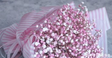 花市|花市的花太好看了