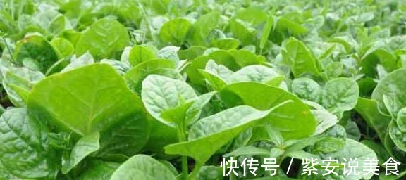 抗衰老|女人不想早衰,脸上爬满皱纹,3种蔬菜常吃,美容,抗衰老