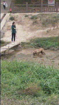 |搞笑GIF:最幸福的事情就是,别人老婆给你做饭吃