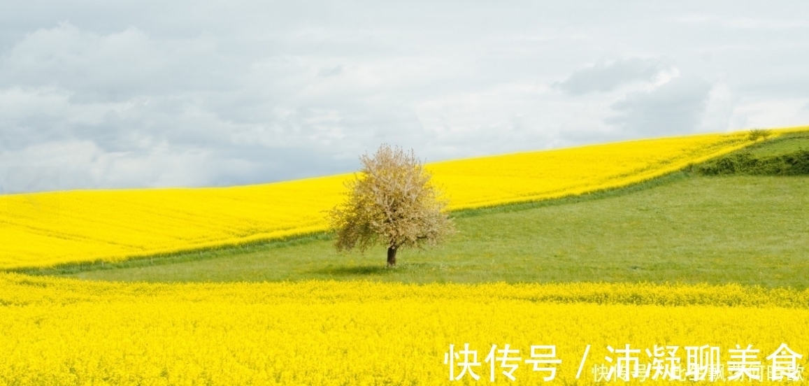 水瓶|生来优雅，涵养很高的星座，做事独特又神秘，为人更是气质高贵