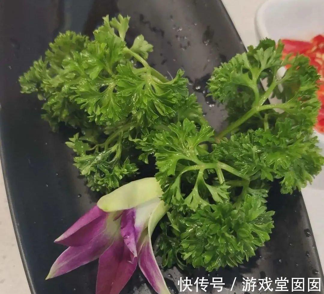 6种香草盆栽，掐个叶子就能吃，味道清香四溢！