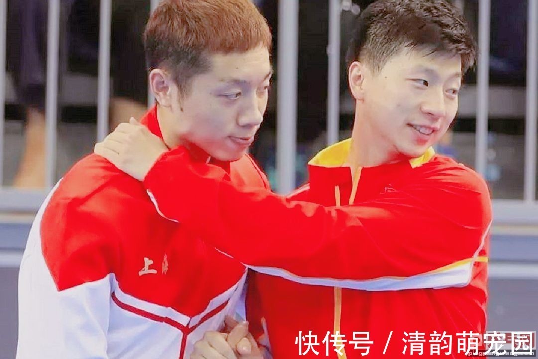 水谷隼|刘诗雯许昕“打了个盹”,伊藤美诚水谷隼成为日本民调宠儿