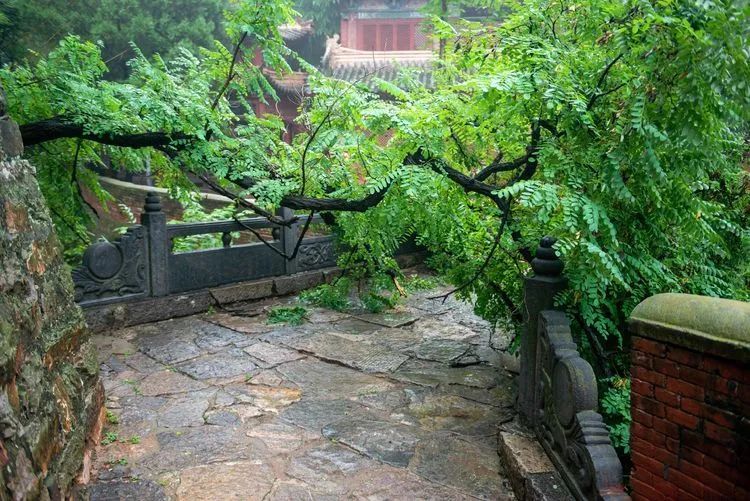 风穴寺|用镜头记录暴雨中的风穴寺