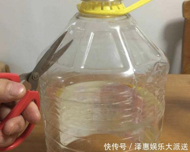 种植|厨房的“空油桶”留着，拿来“剪2刀”，变成“种菜容器”，值！
