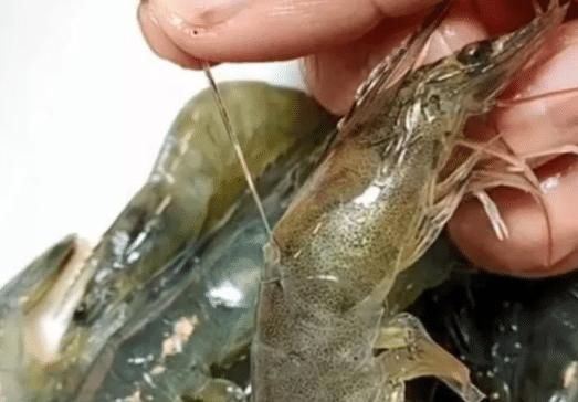 去虾线还在用牙签吗？大厨告诉我，去除虾线这样子做太简单了