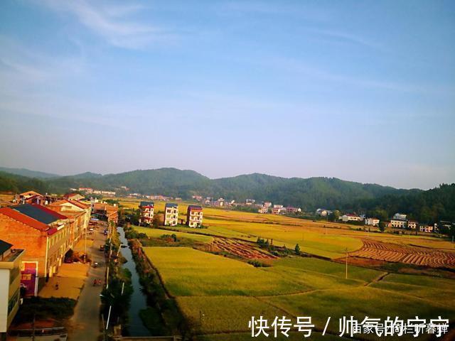 秋韵#【七绝·秋韵】清风伴我不孤行,晨起轩窗有鸟鸣