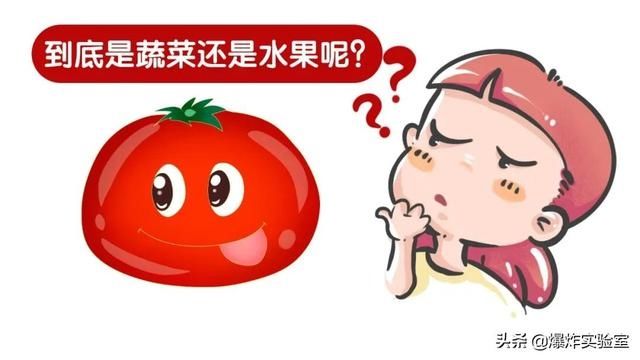 蔬菜|什么？关于番茄是蔬菜还是水果，竟然在100年前闹上过法庭？