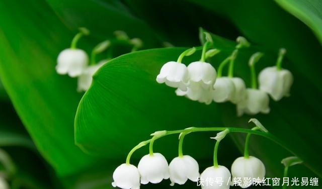 话说|做人,凡事要有度