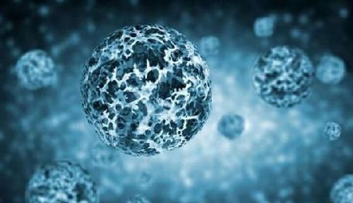  阿尔茨海默|30秒看你是否痴呆？这张图几个人？4个晚期，15个正常！你敢测吗