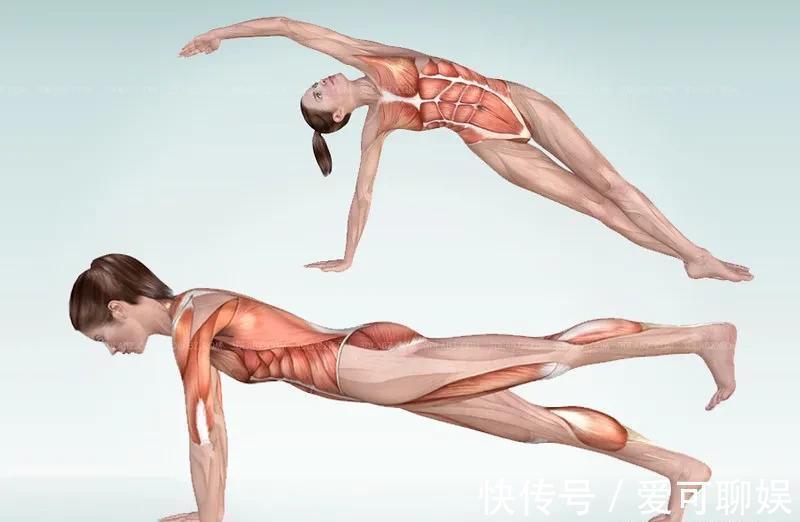 背部|练瑜伽，如何加强下背部力量？这8个动作超好用！（附解剖图）