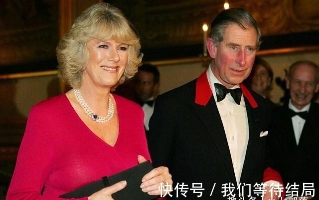 男子称其是查尔斯和卡米拉的私生子,尽管