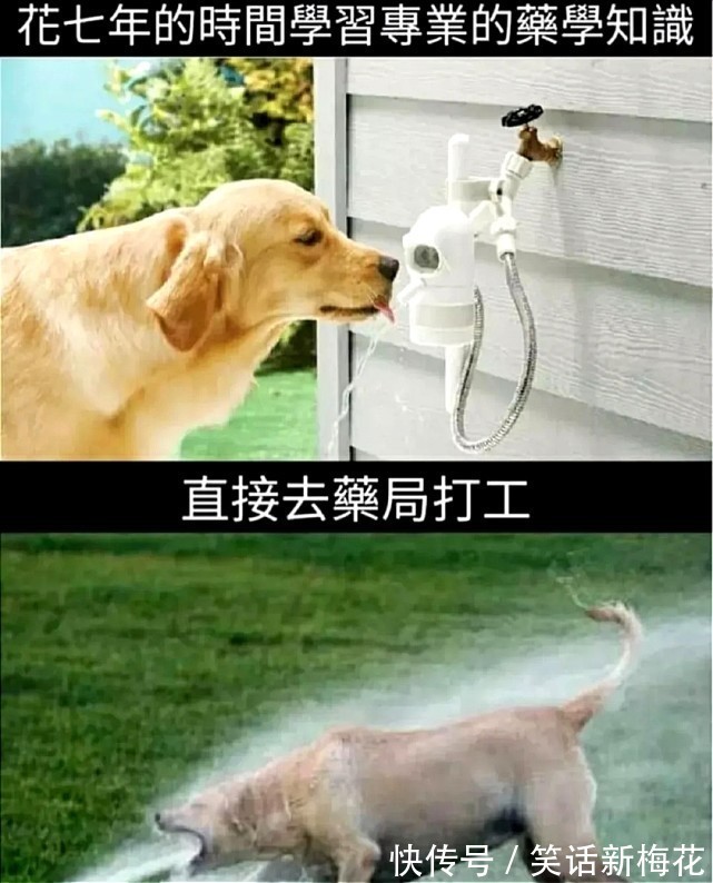 |搞笑趣图:机场里的女生VS机场里的男生……