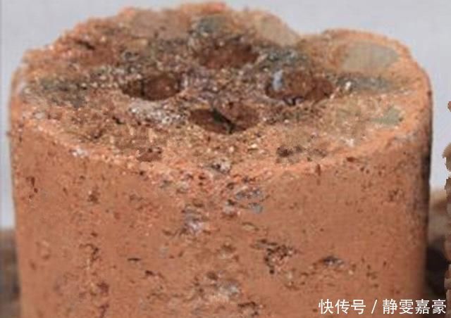 养花怕浇水多了烂根，盆里放几样东西，再也不怕水多烂根了