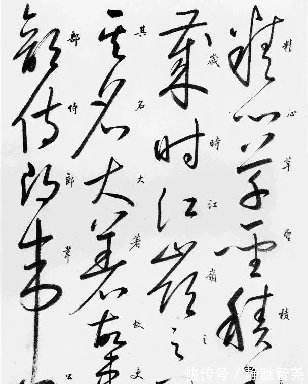 自叙帖#启功的草书也不错,笔法精湛,线条匀净,粗细均匀,是“硬功夫”