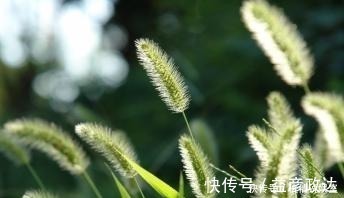 虫子|如何让孩子远离手机,这几乎是唯一的方式