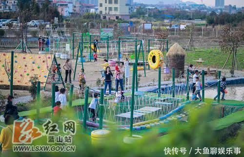 赏花|蓝山:新春乡村游 乐享好时光