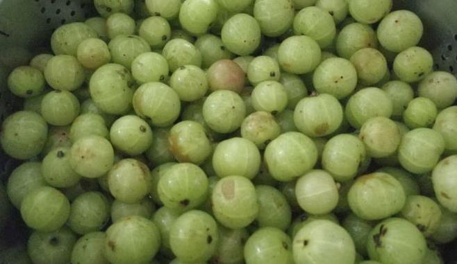 整年|咳嗽久咳不愈,多用此果泡水,坚持三天,利咽喉,整年不咳嗽