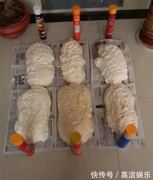 复合门|如何买到性价比高的木门?选购时注意这5点,老板不敢坑你