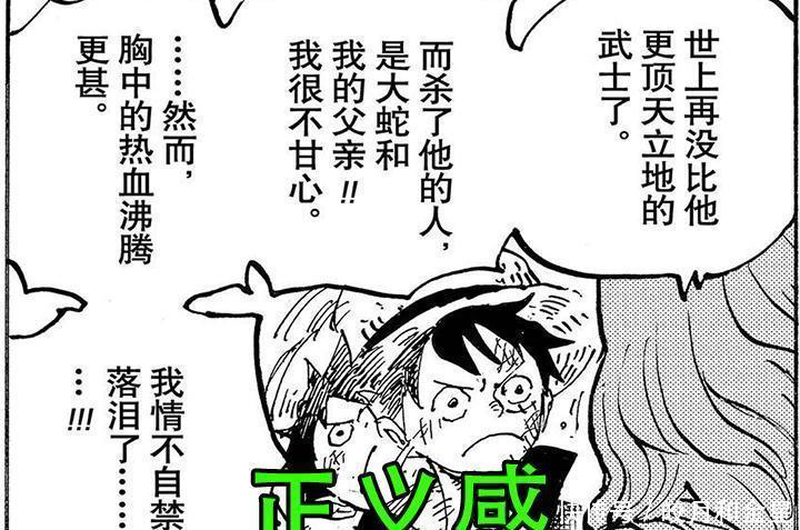 草帽|海贼王凯多的女儿,成为草帽团第11人,索隆甚平地位不保!