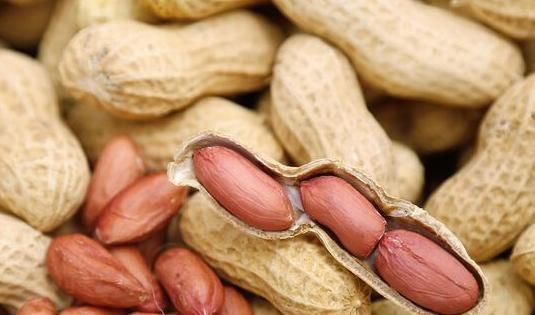 痛风患者|早上空腹吃7颗花生,坚持半月,3大好处“会找上你”,早知早受益