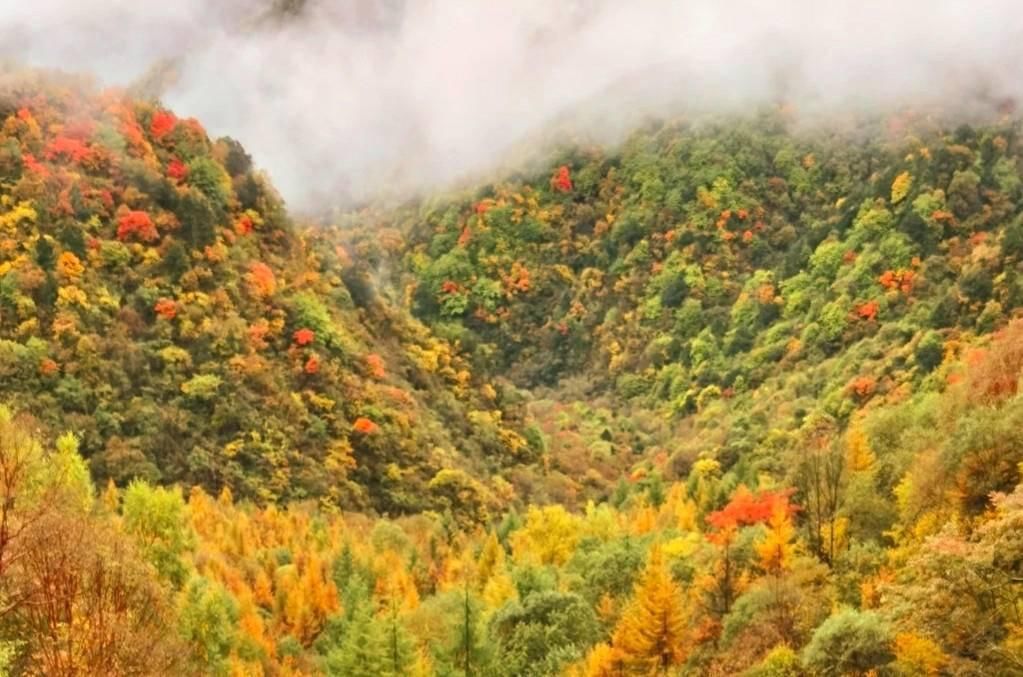 秦岭|秦岭的秋天居然这么美，自驾最美山村公路，再不来就只能等明年了