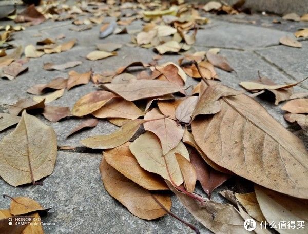 荣耀x30|荣耀X30民间首发测评：为更好地提升体验，荣耀这次“全屏升级”