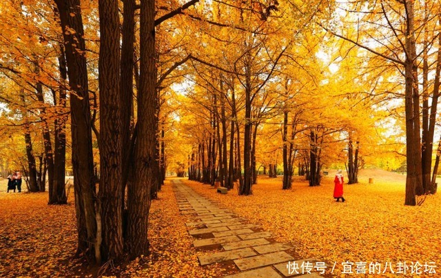 山东6个冷门旅游小城，景色不输青岛济南，一定有你没去过的