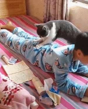 |搞笑GIF:赶紧拿纸给媳妇擦擦手啊,一点眼力都没有