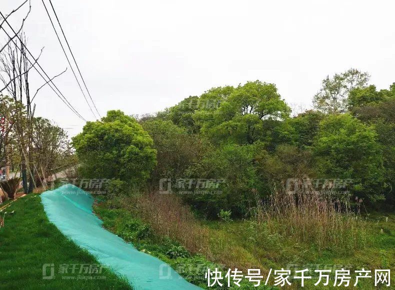 出让|引爆浔城！浔阳古城项目落锤！土拍6连击！揽狂8.47亿