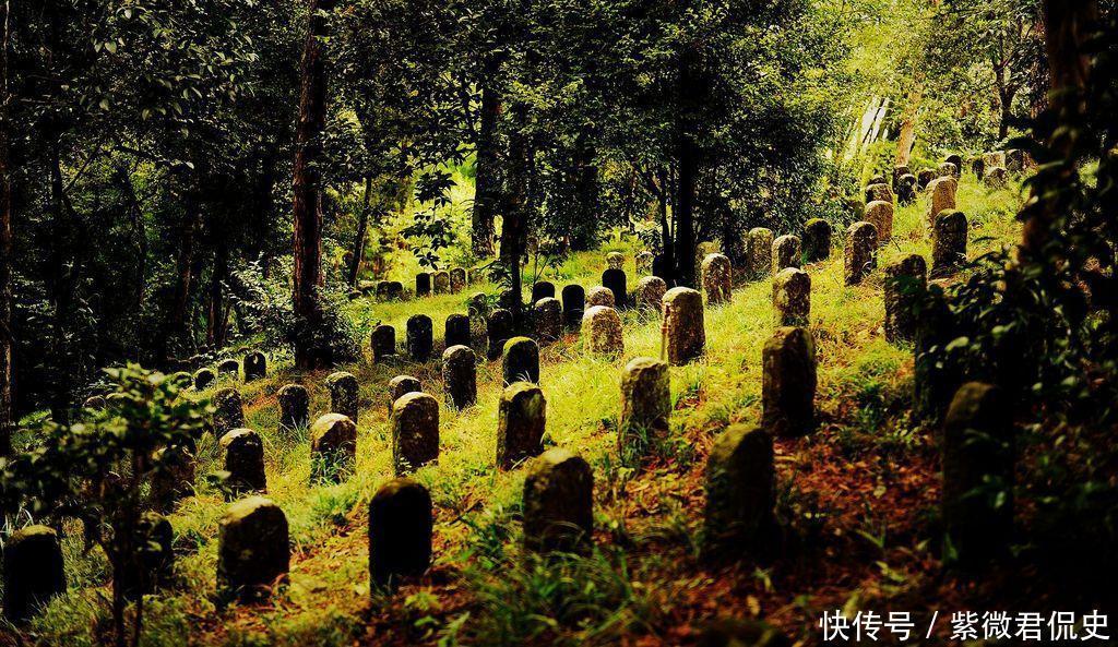 含笑九泉,指的是哪九泉呢?