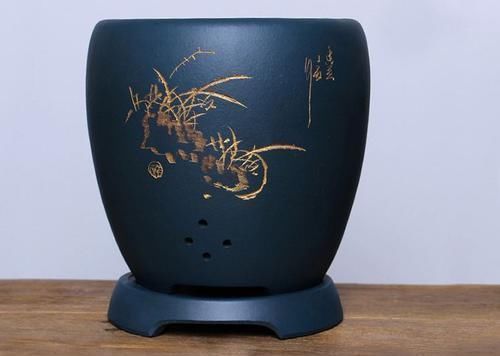 君子兰的浇水是一个技术活，会浇水就会养君子兰