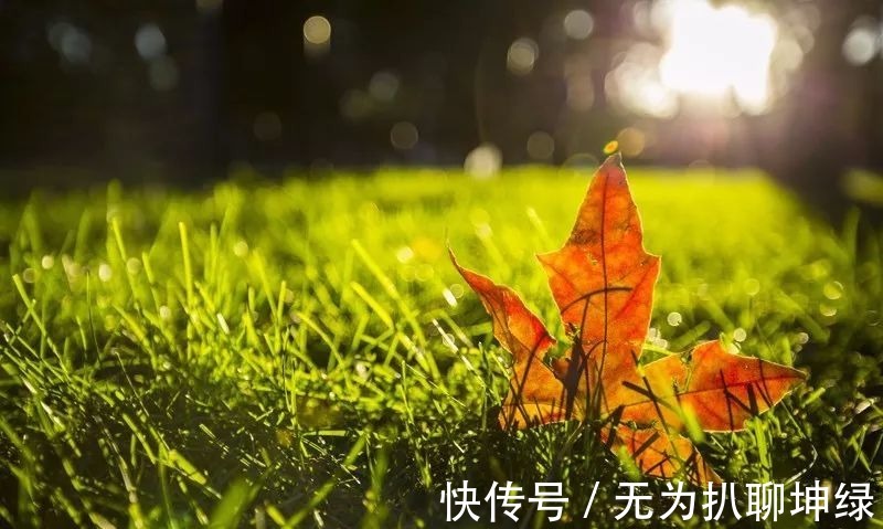 努力|曾国藩:人生只有两件事靠得住