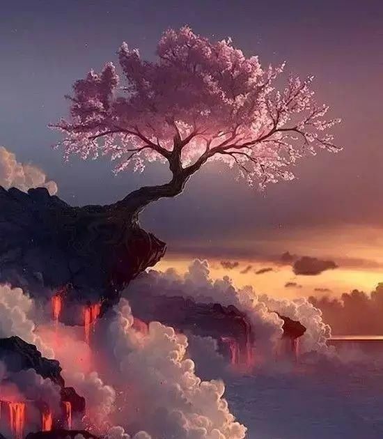 传来|太美了,世界照片今天终于传来,罕见至极,一睹为快