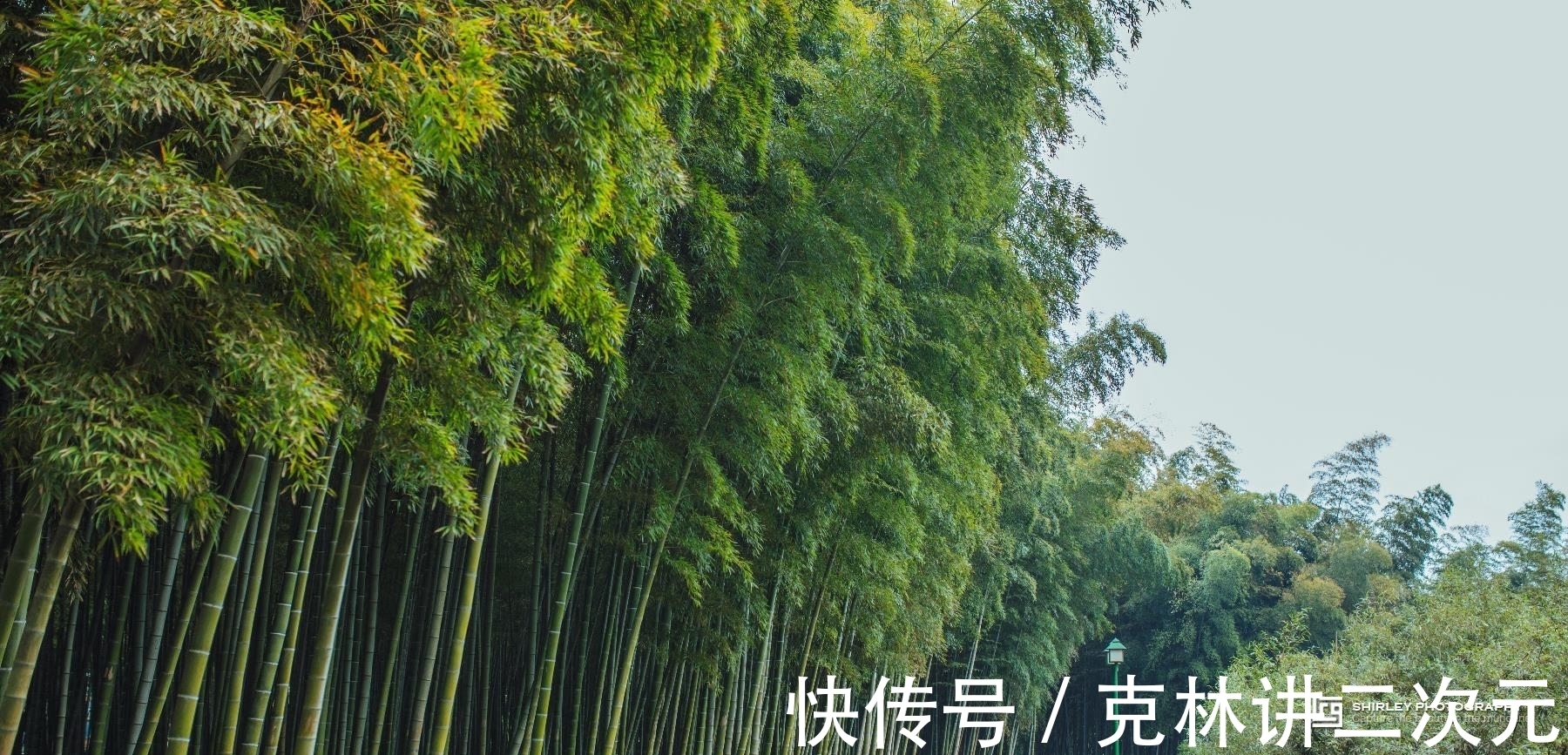 蔡威廉|西湖景区内的危房被拍卖,本以为无人问津,没想到以1.2亿成交