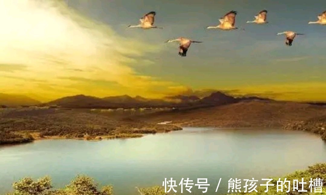 野渡征联|野渡征联第三期:晴窗徊雁影,诚征下联