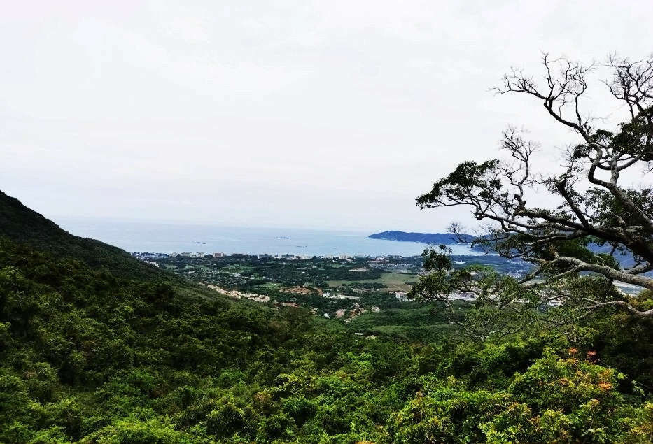 不一样的热带雨林，不一样的美丽风景——游亚龙湾热带天堂森林公园